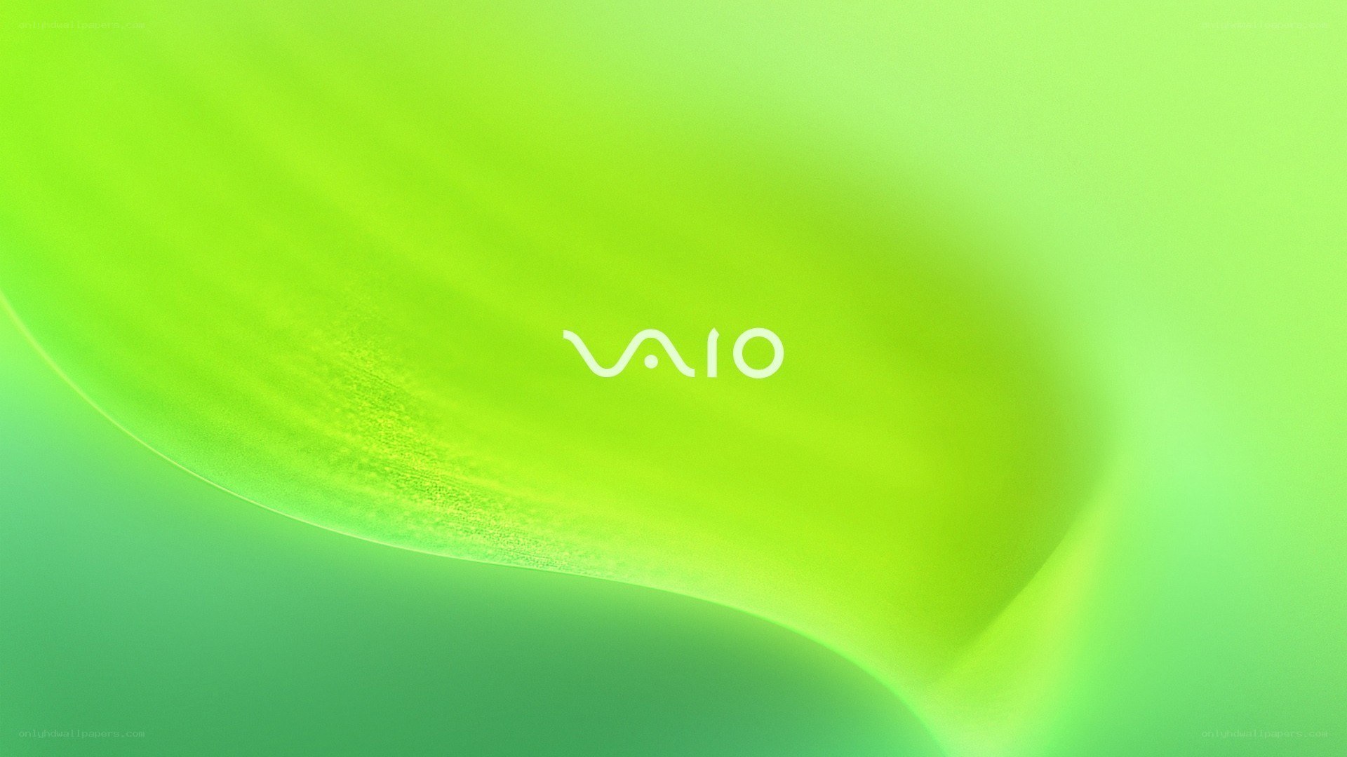 VAIO logo on green background