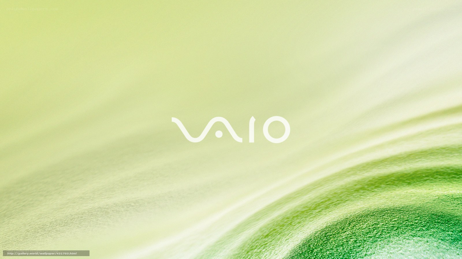 VAIO logo on green background