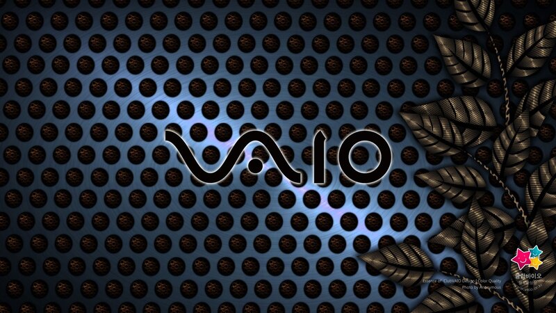 VAIO Logo on Perforated Surface