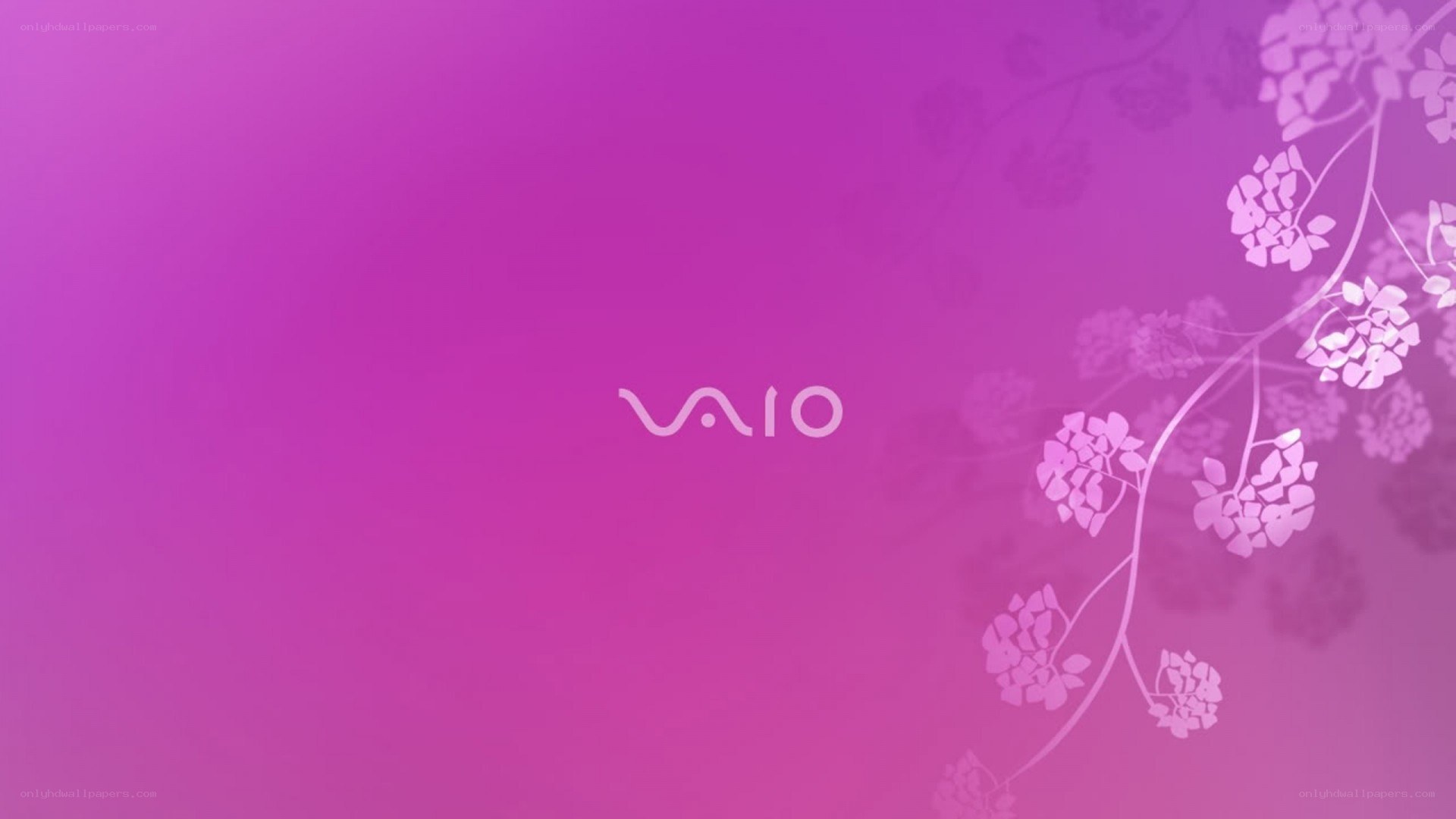 VAIO logo on purple background