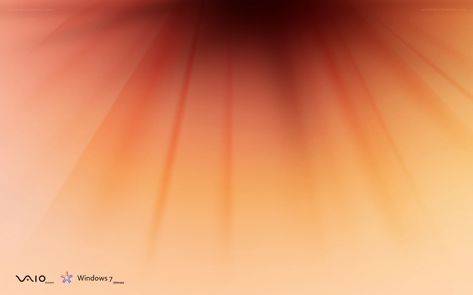 VAIO Windows 7 startup screen
