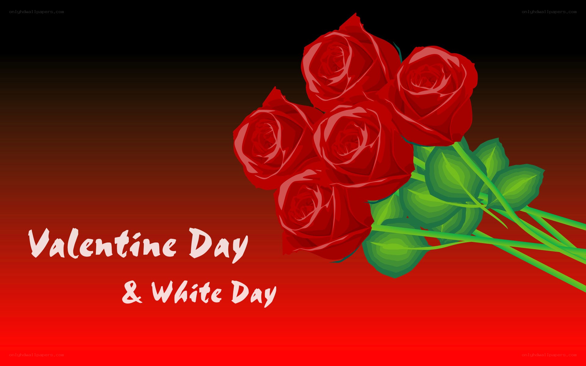 Valentine and White Day roses
