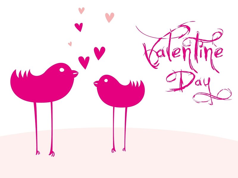 Valentine's Day birds