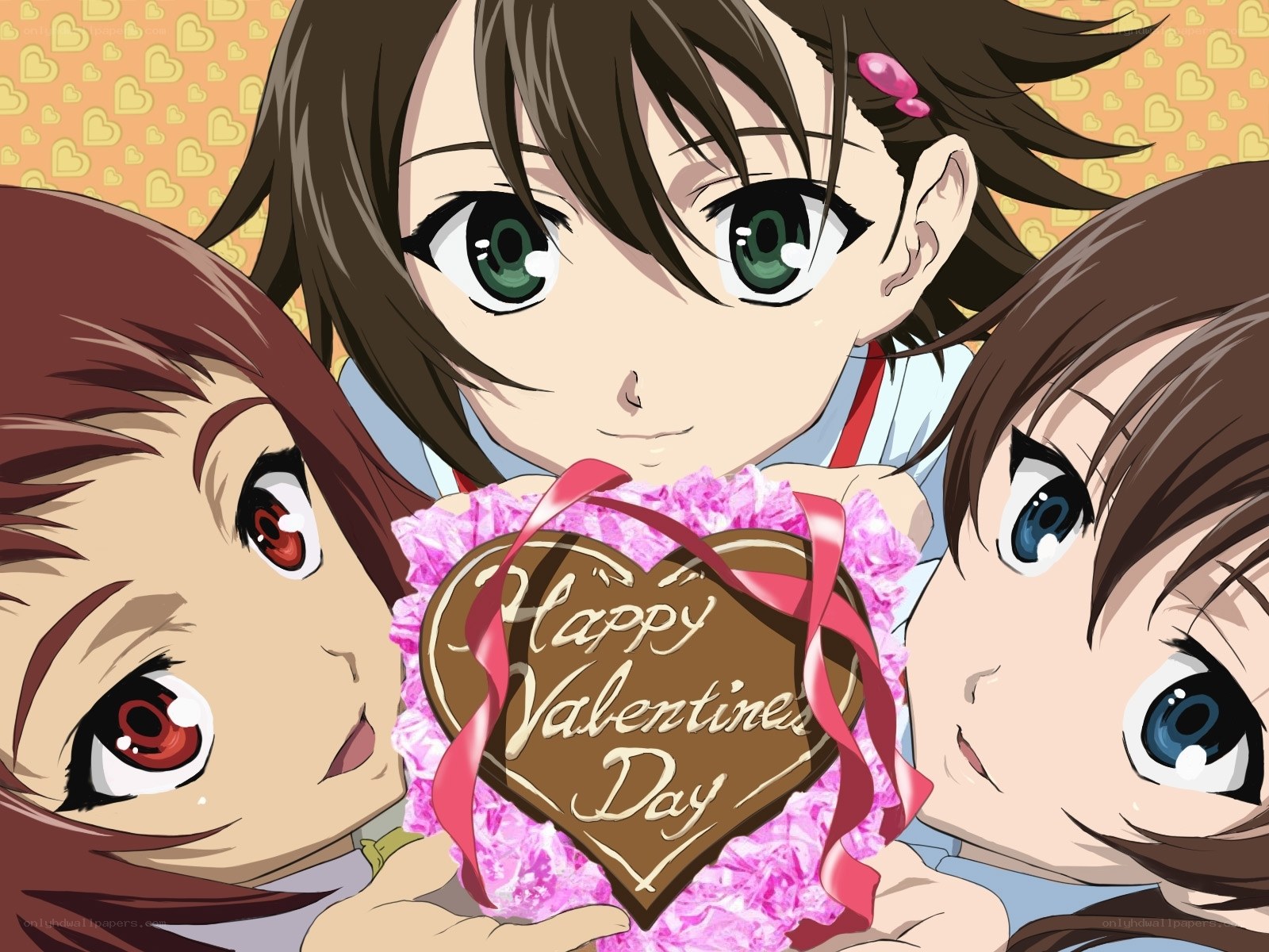 Valentine's Day chocolate gift
