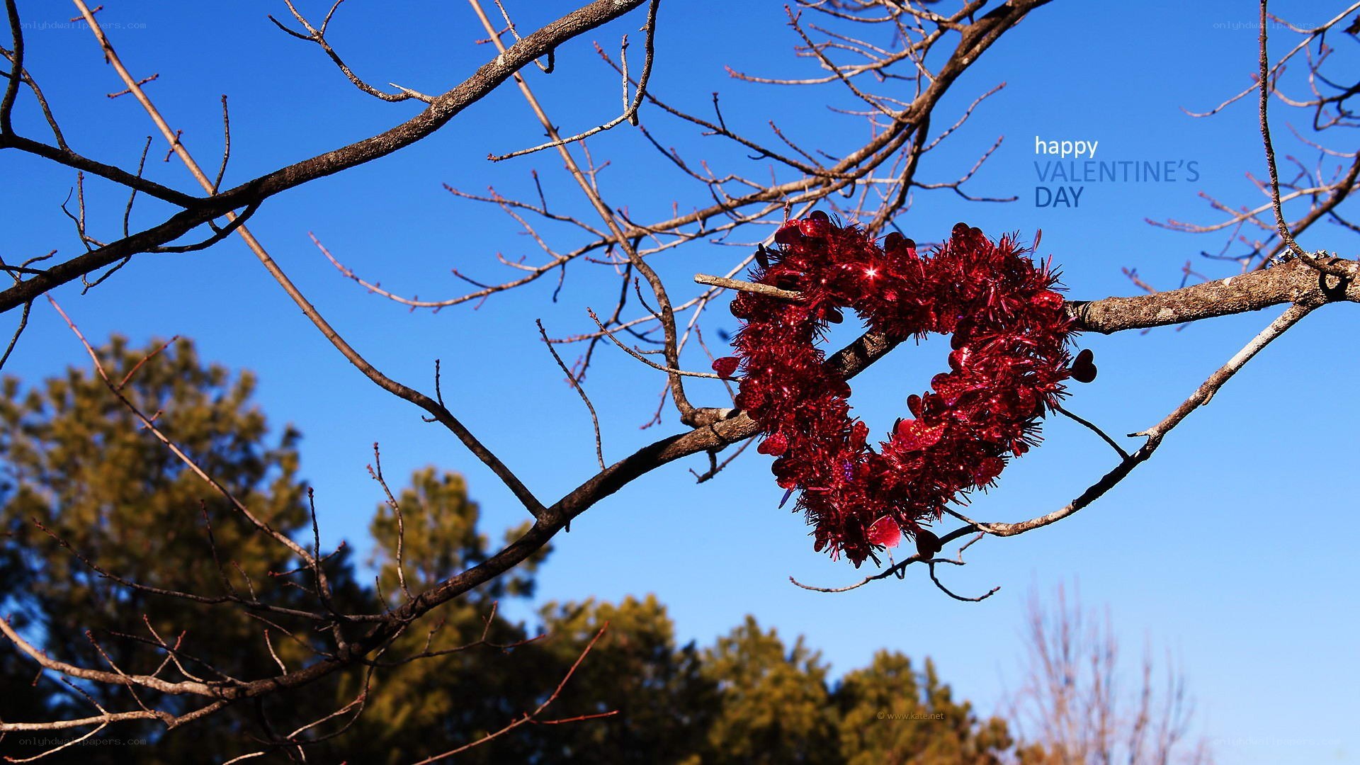 Valentine's Day heart on tree