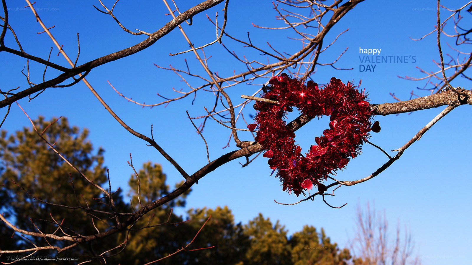 Valentine's Day heart on tree