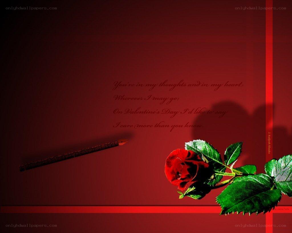 Valentine's Day rose and quote