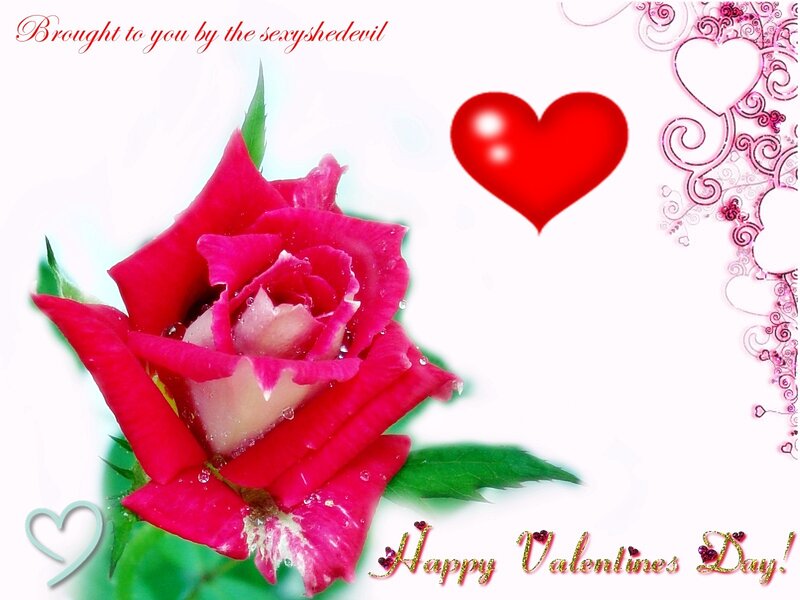 Valentine's Day rose card