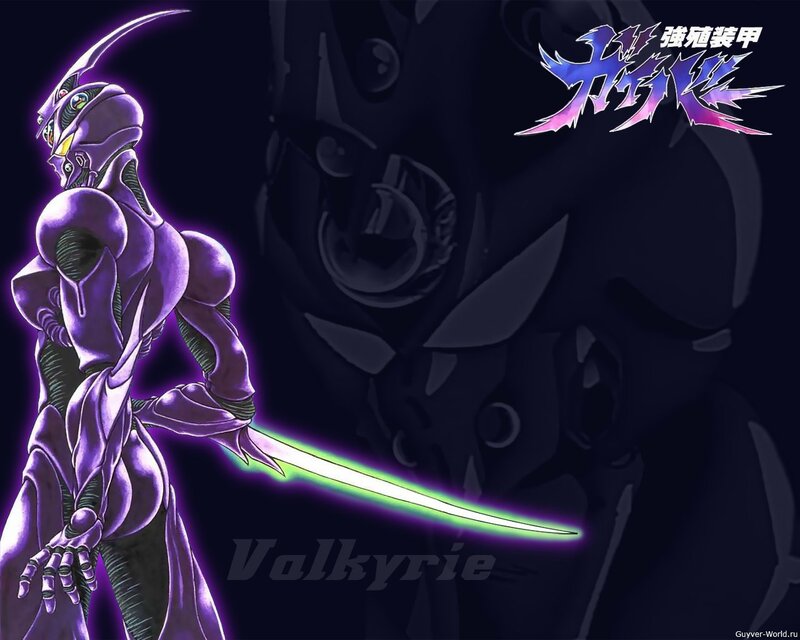 Valkyrie in purple armor