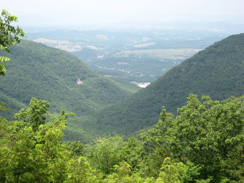 valley between forested mountains