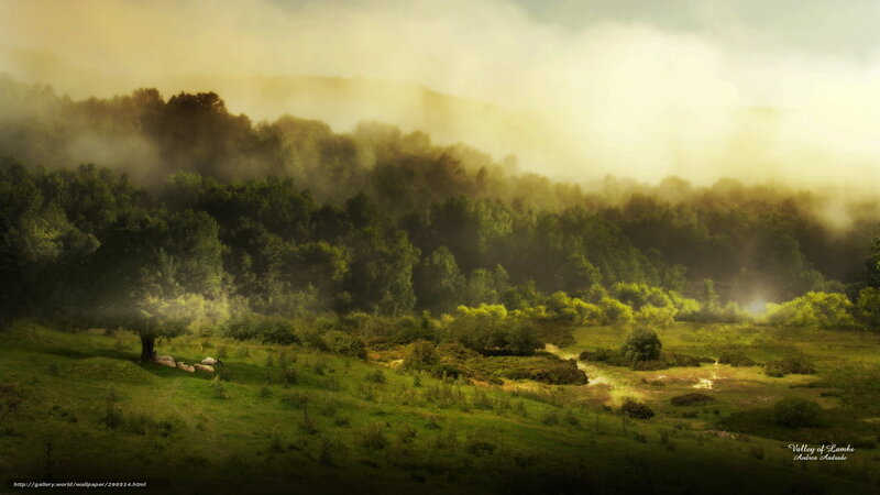 Valley of Lambs