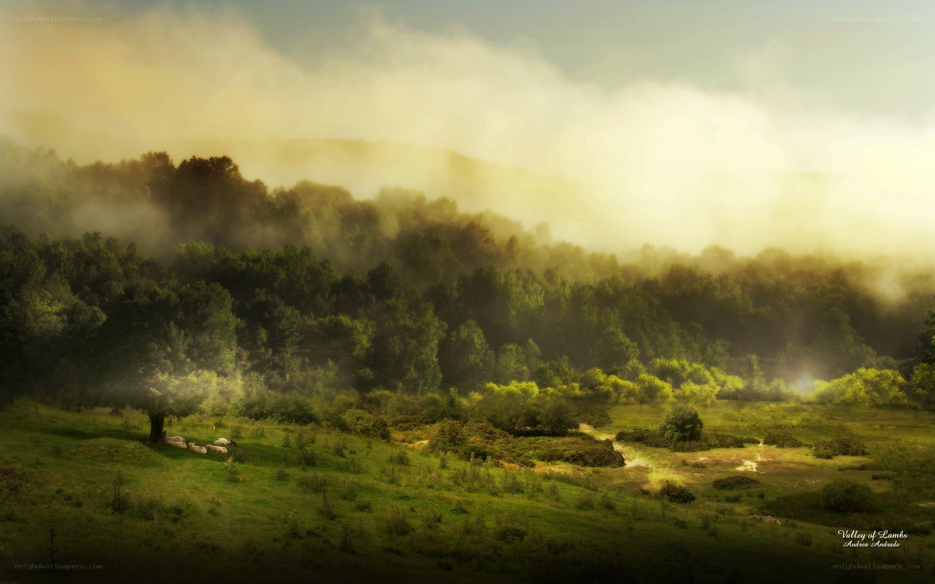 Valley of Lambs