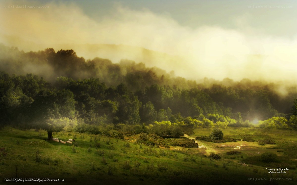 Valley of Lambs