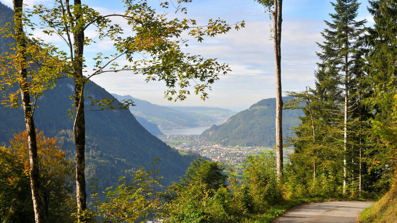 Valley Town from Forest