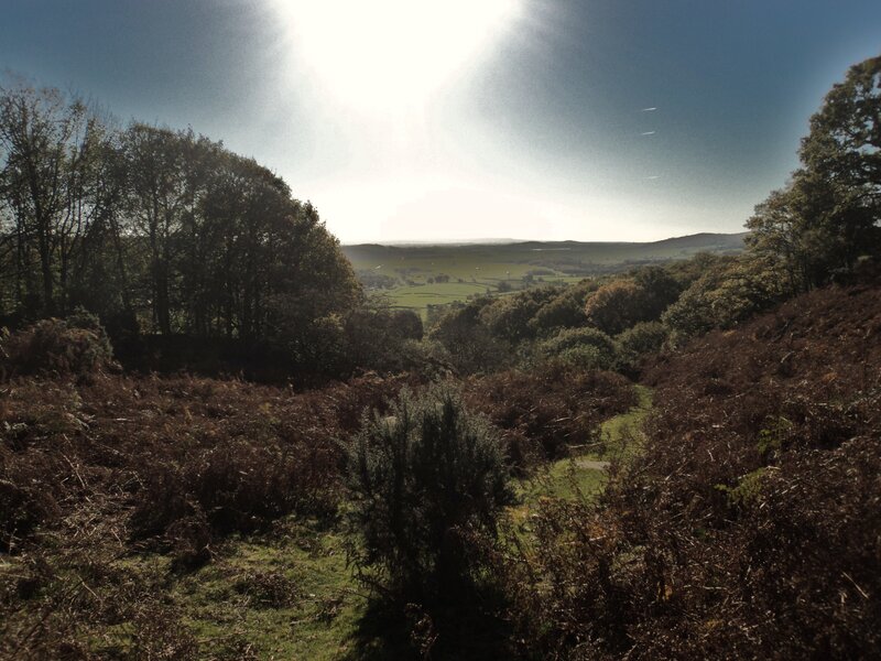 Valley View from Hillside — Green