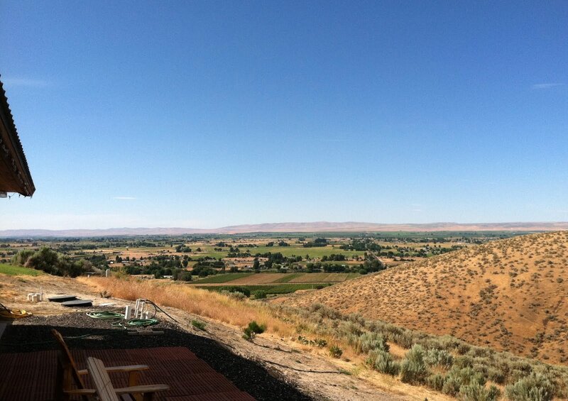 valley view from hillside
