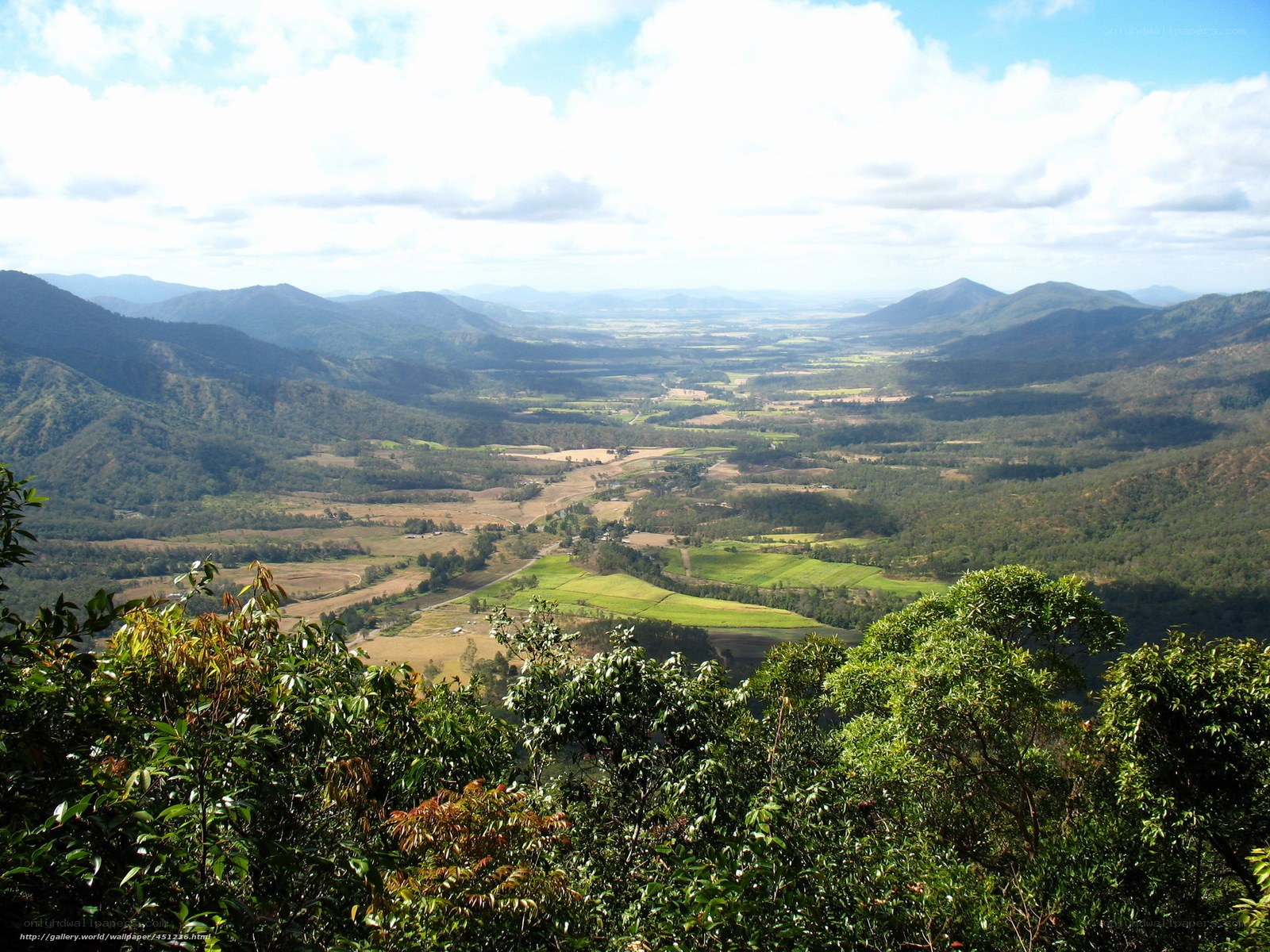 valley view from mountain
