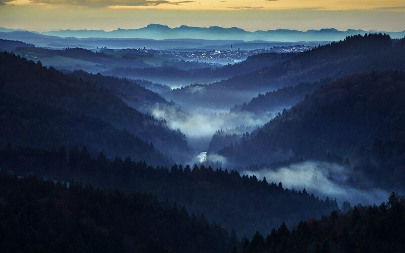 Valley with Fog and Forest