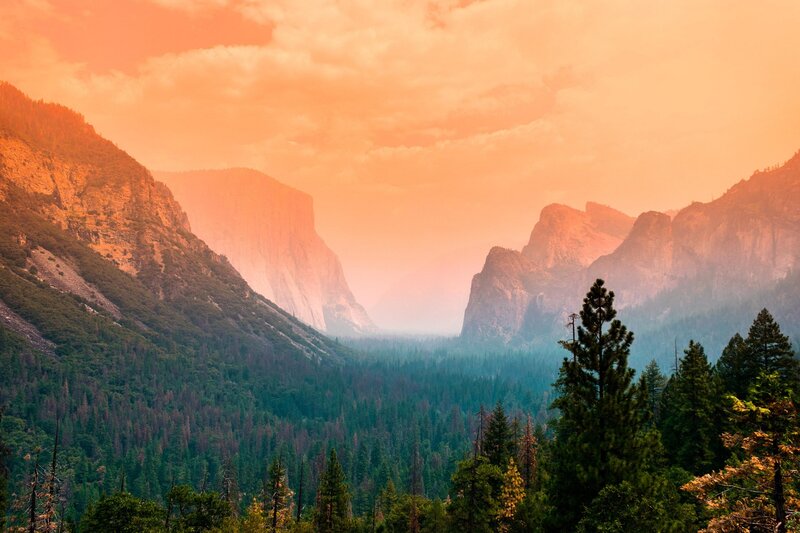Valley with Forest and Mountains — Orange