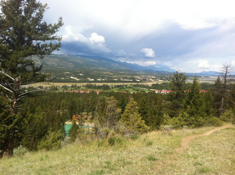 Valley with Forest and Mountains
