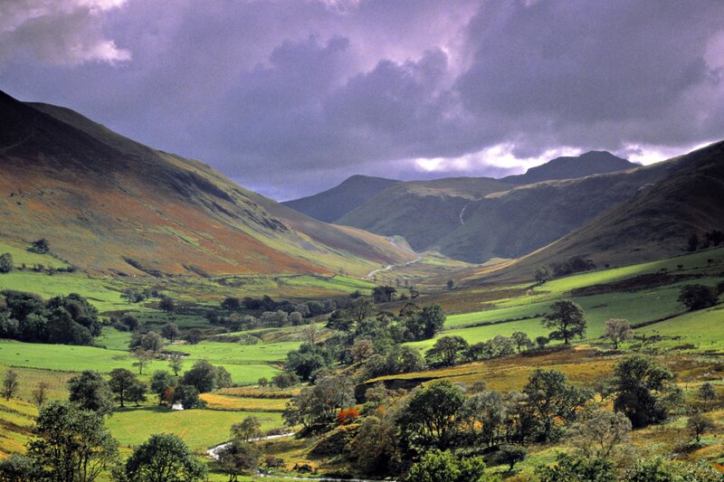 valley with green hills and purple sky