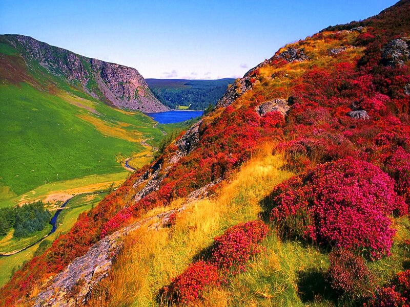 Valley with Lake and Flowers