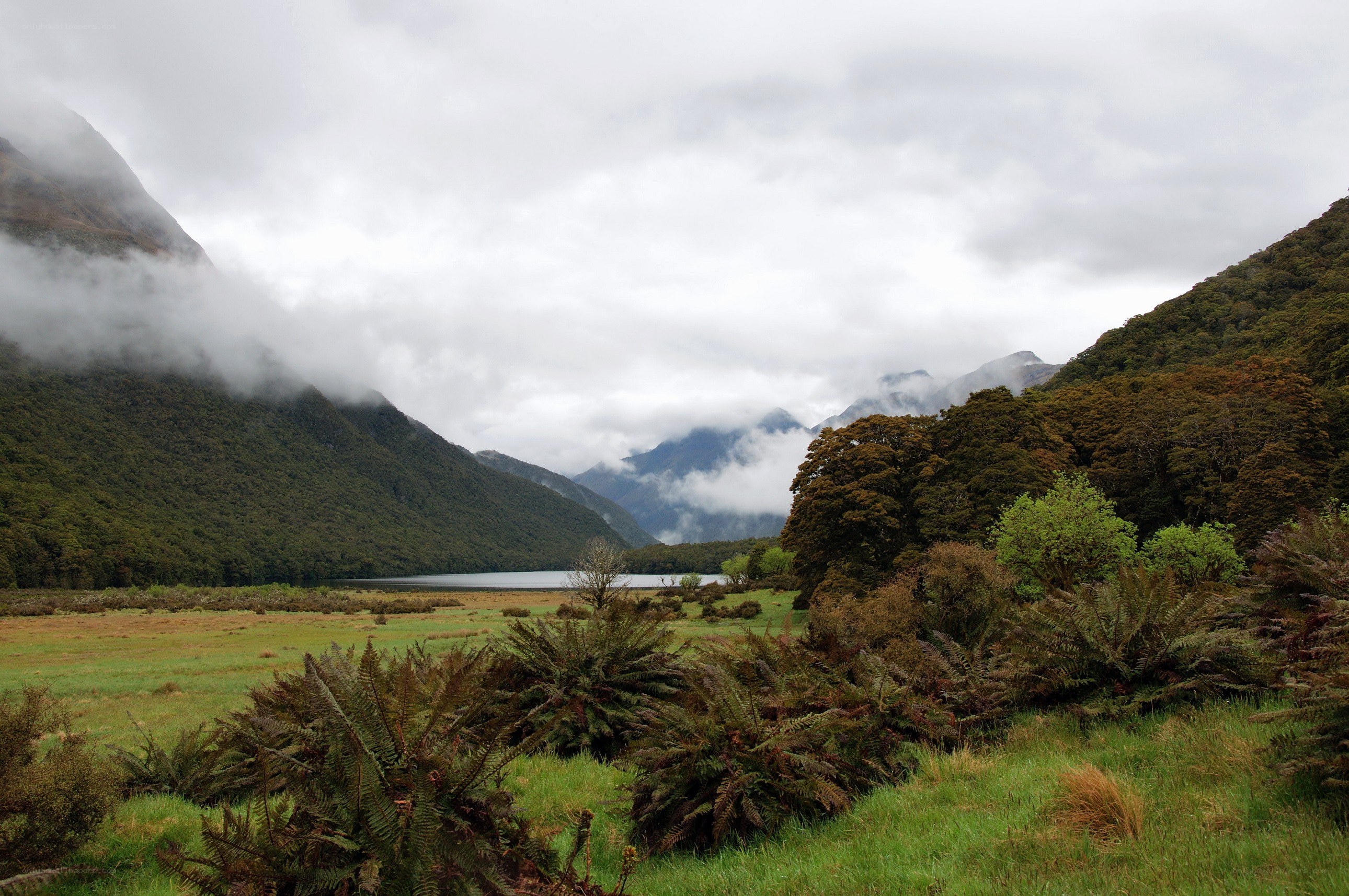 valley with lake and mountains