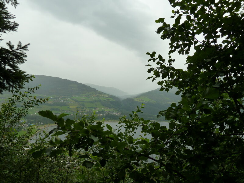 Valley with Lake and Mountains — Green, Overcast