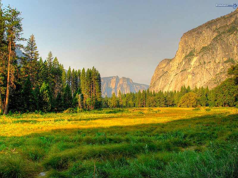 Valley with Meadow and Mountains
