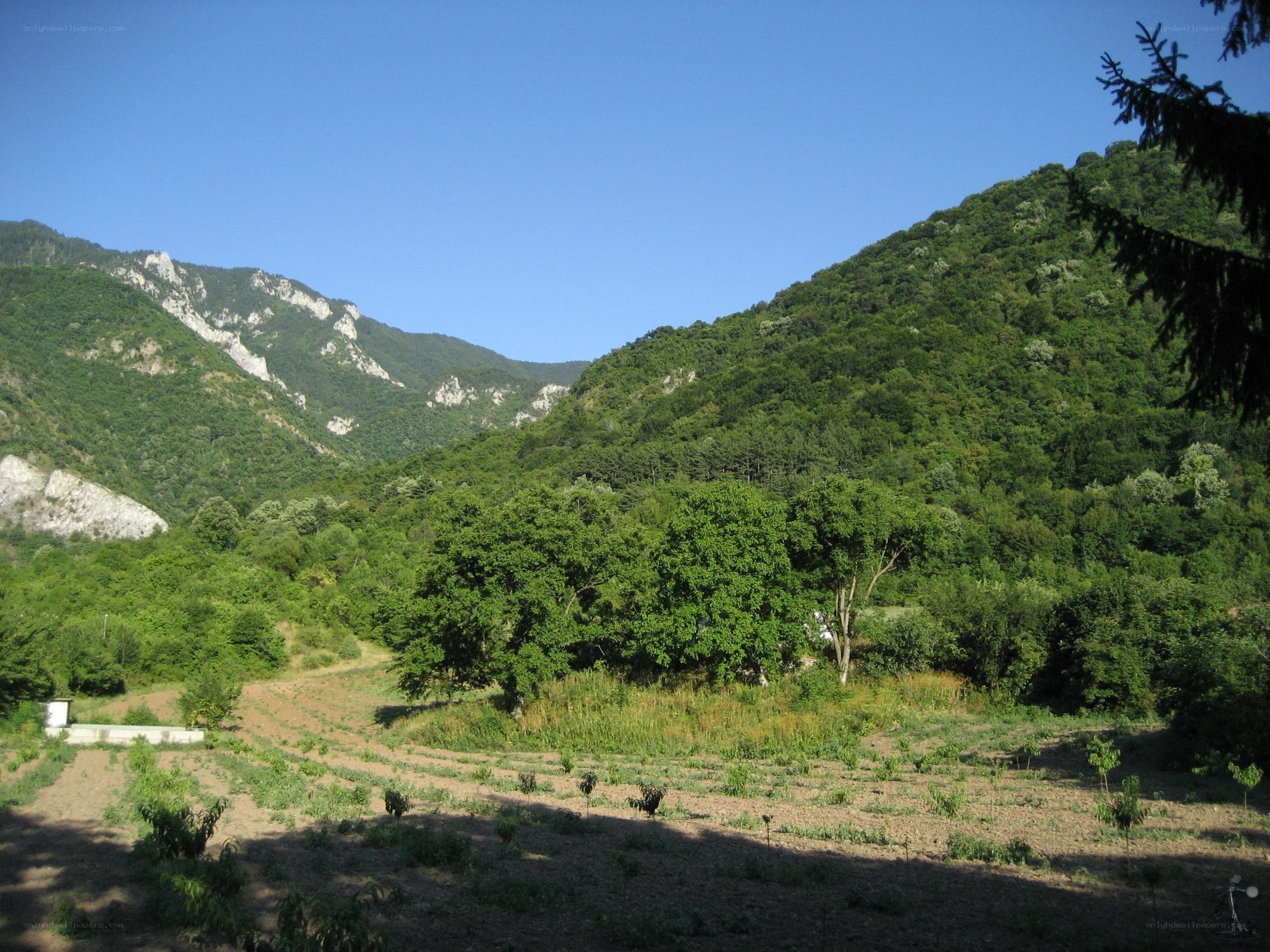 valley with mountains and fields