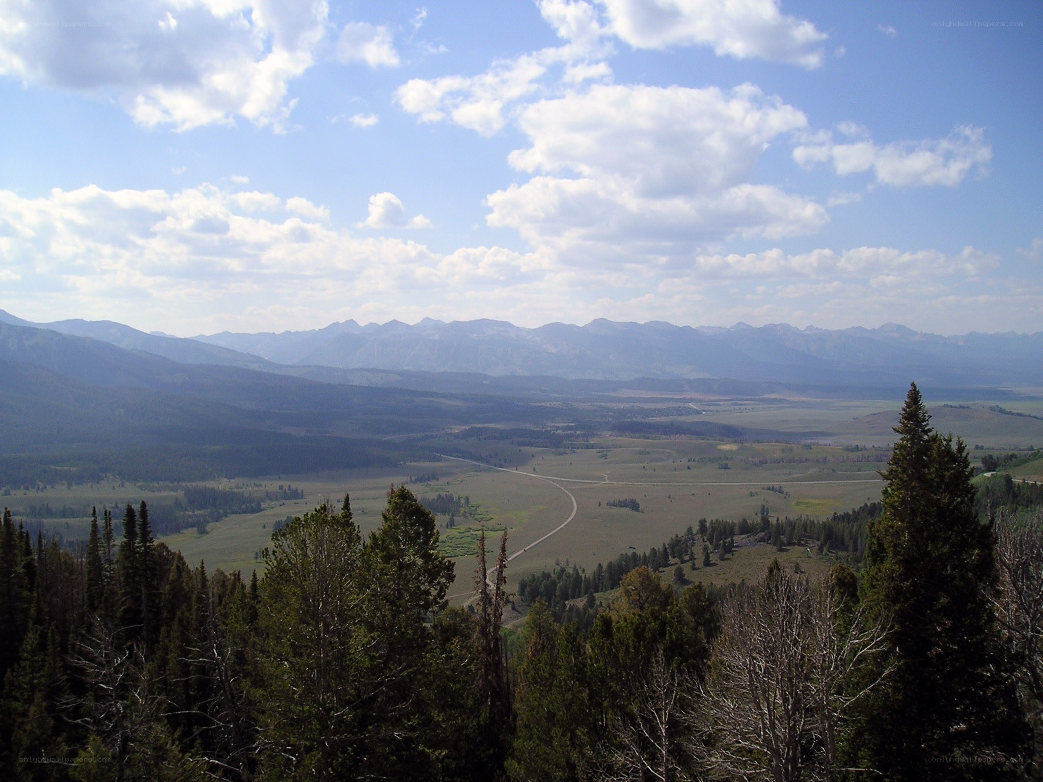 valley with mountains and forest