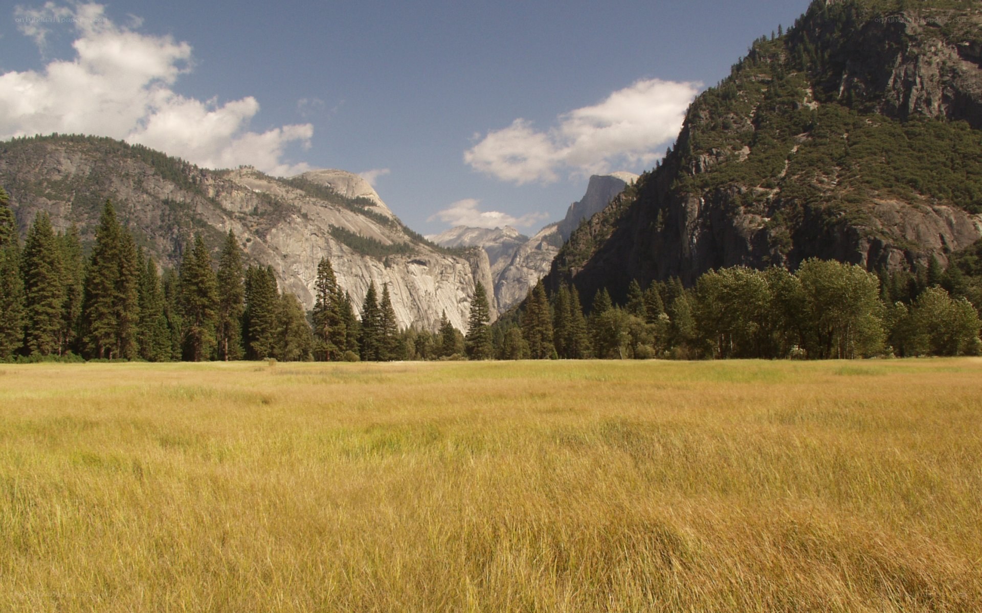 valley with mountains and meadow