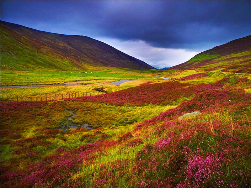 Valley with Purple Heather — Dramatic
