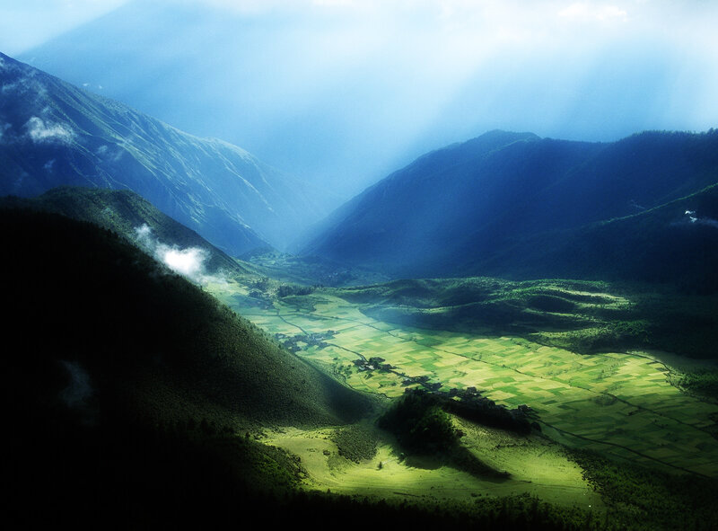 Valley with Rice Fields