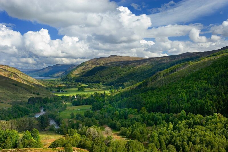 valley with river and forest