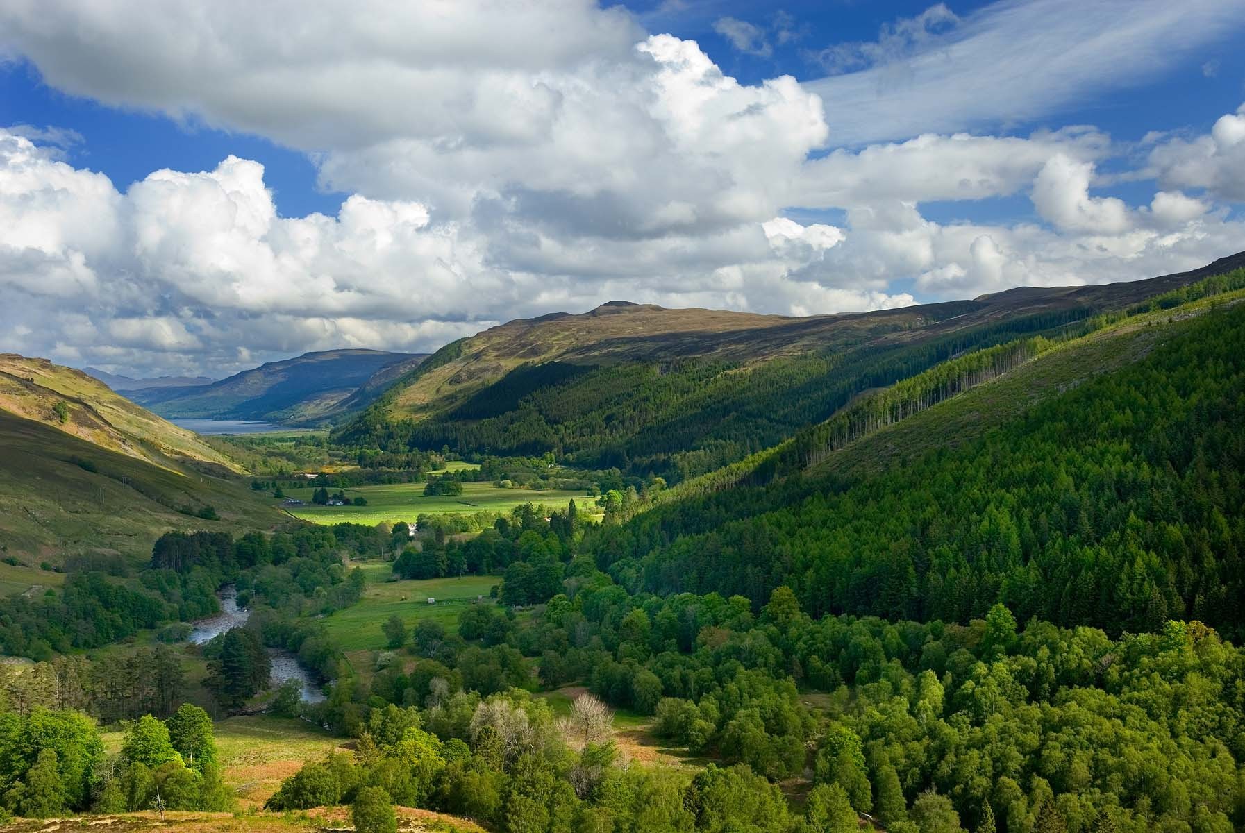 valley with river and forest