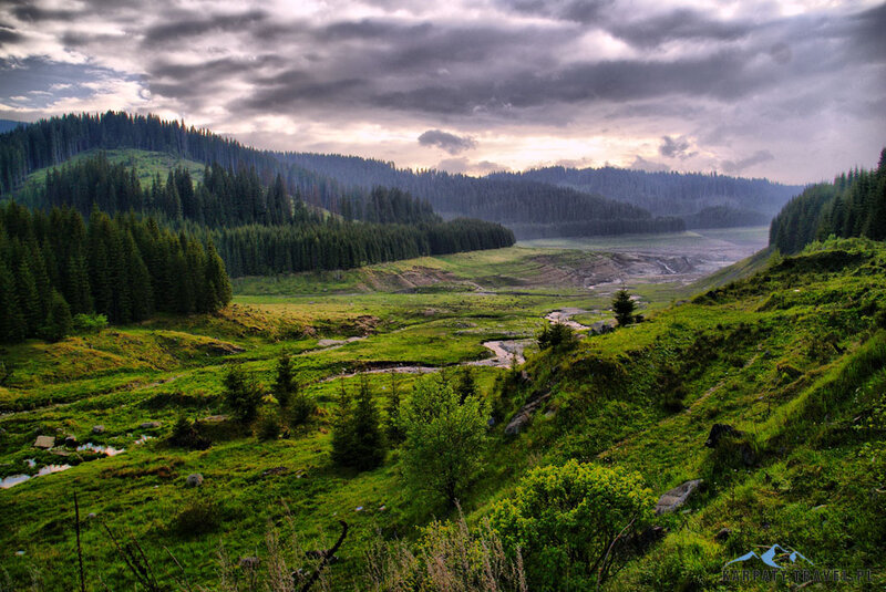 Valley with River and Forest — Green