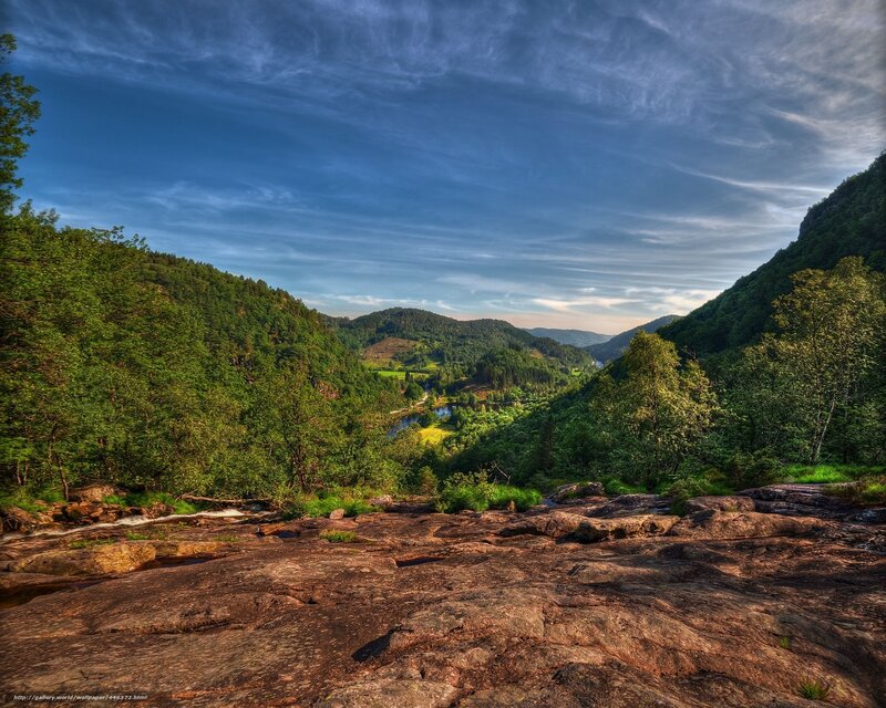 Valley with River and Forest