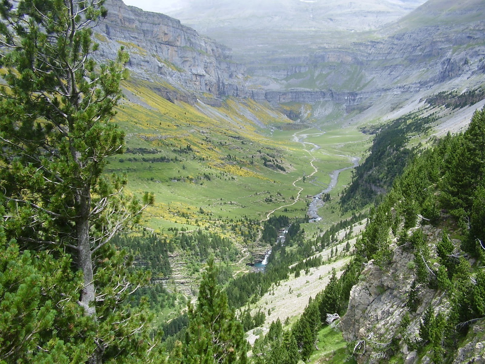 valley with river and mountains