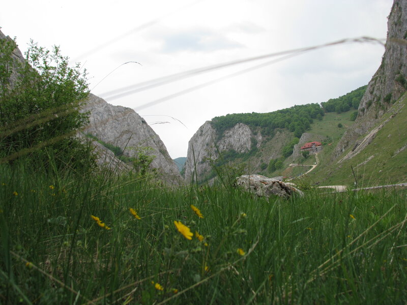 valley with rocky cliffs