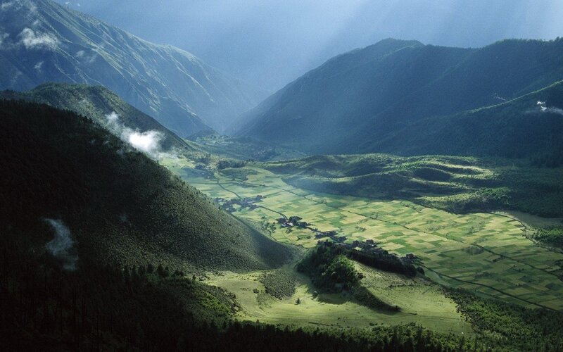 Valley with Terraced Fields — Green, Serene, Morning