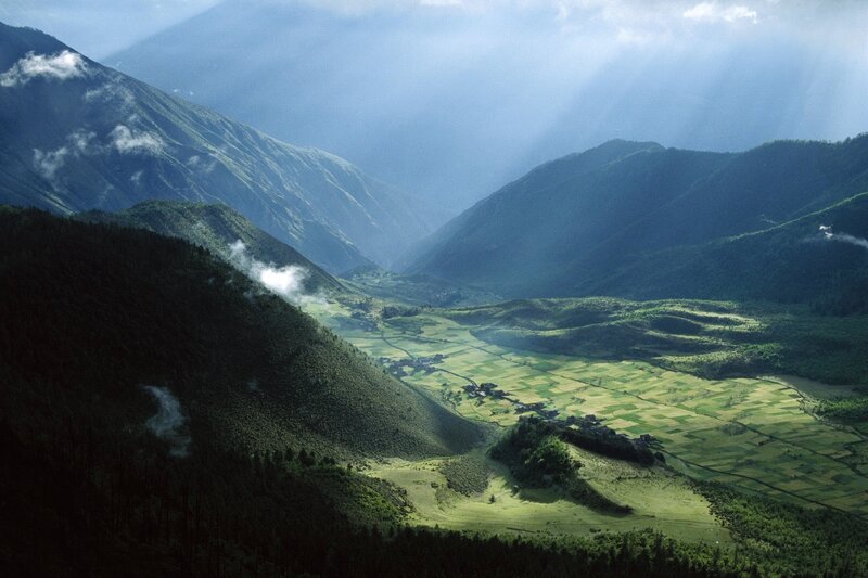 Valley with Terraced Fields — Green, Serene