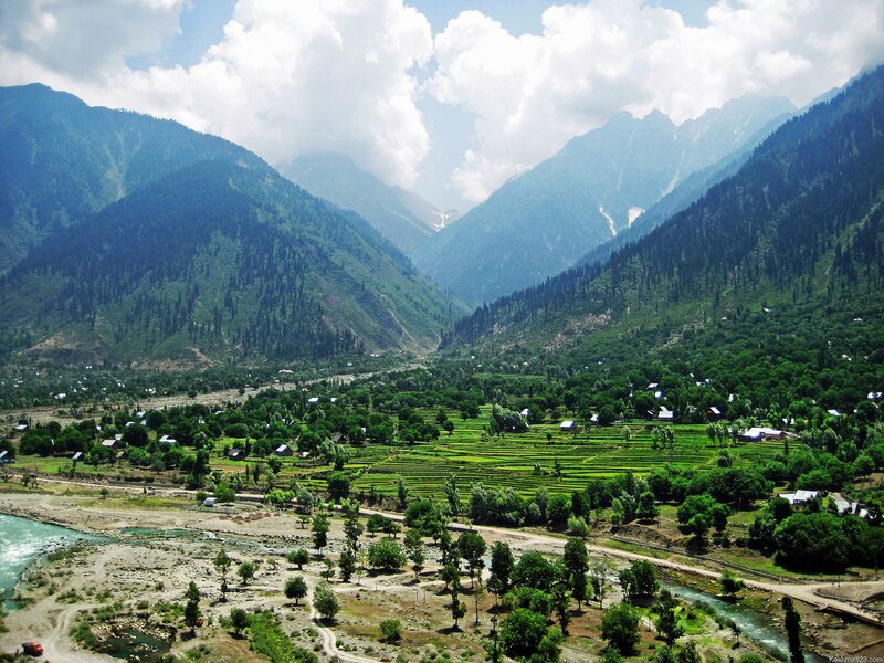 Valley with Terraced Fields — Green