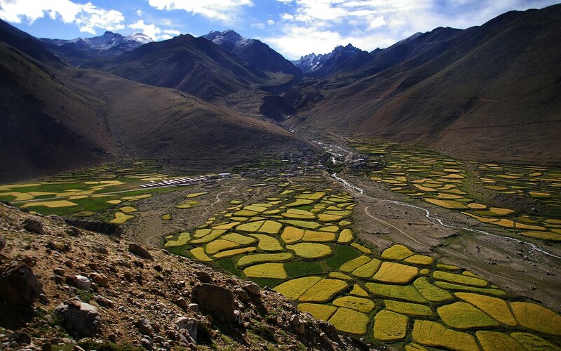 Valley with terraced fields
