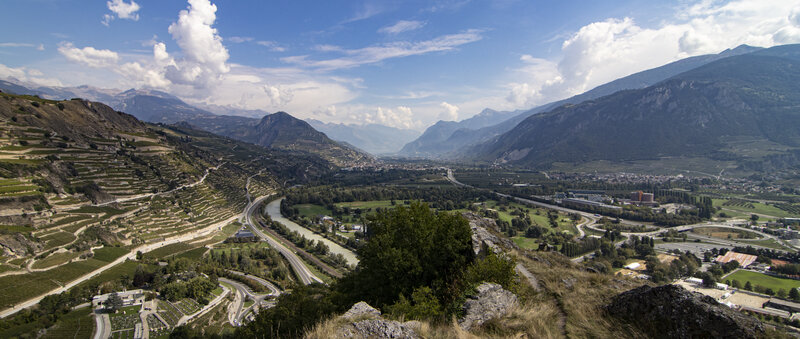 Valley with Vineyards