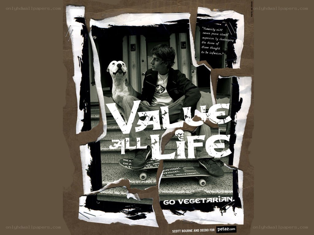 Value All Life poster