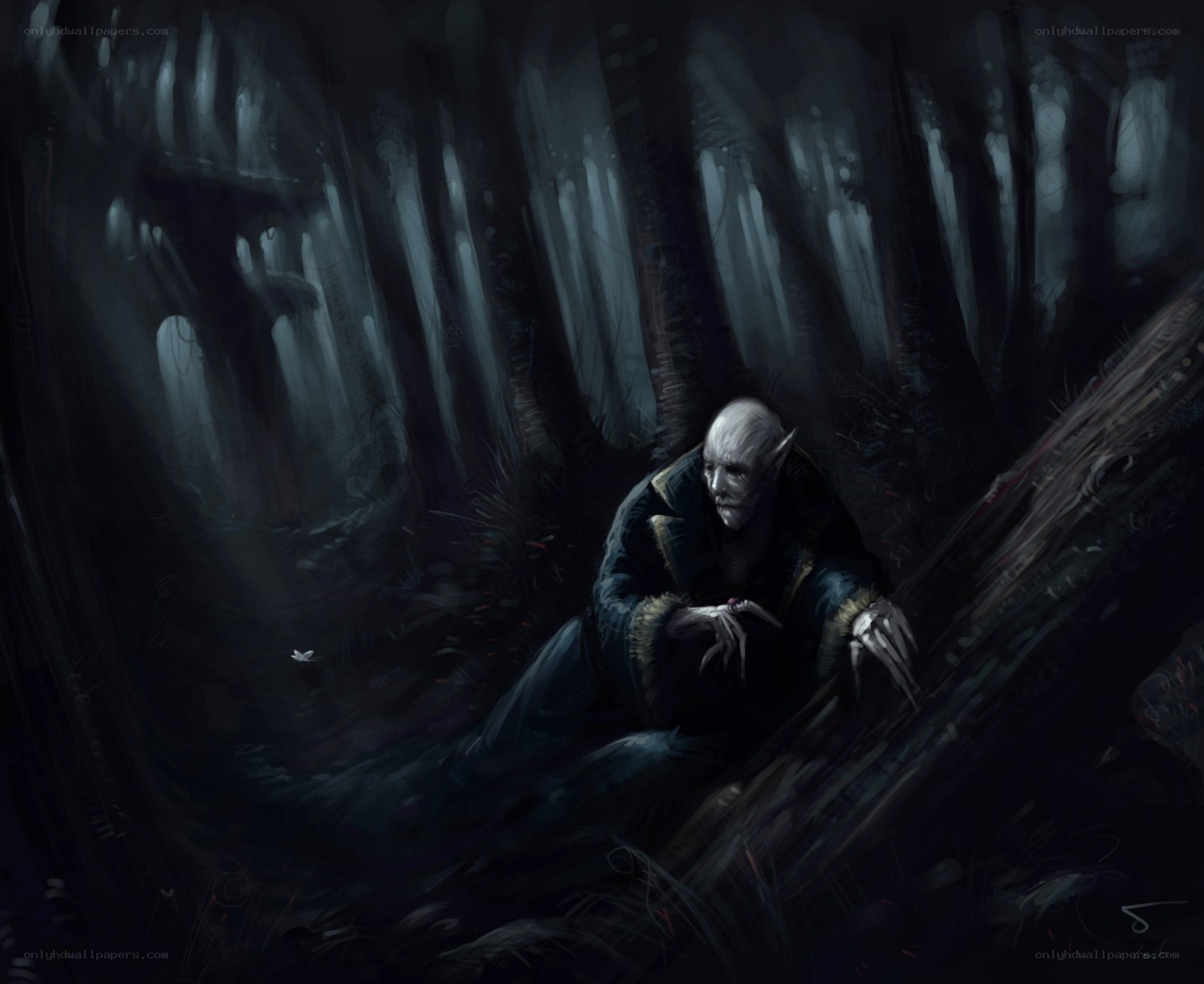 Vampire in a dark forest