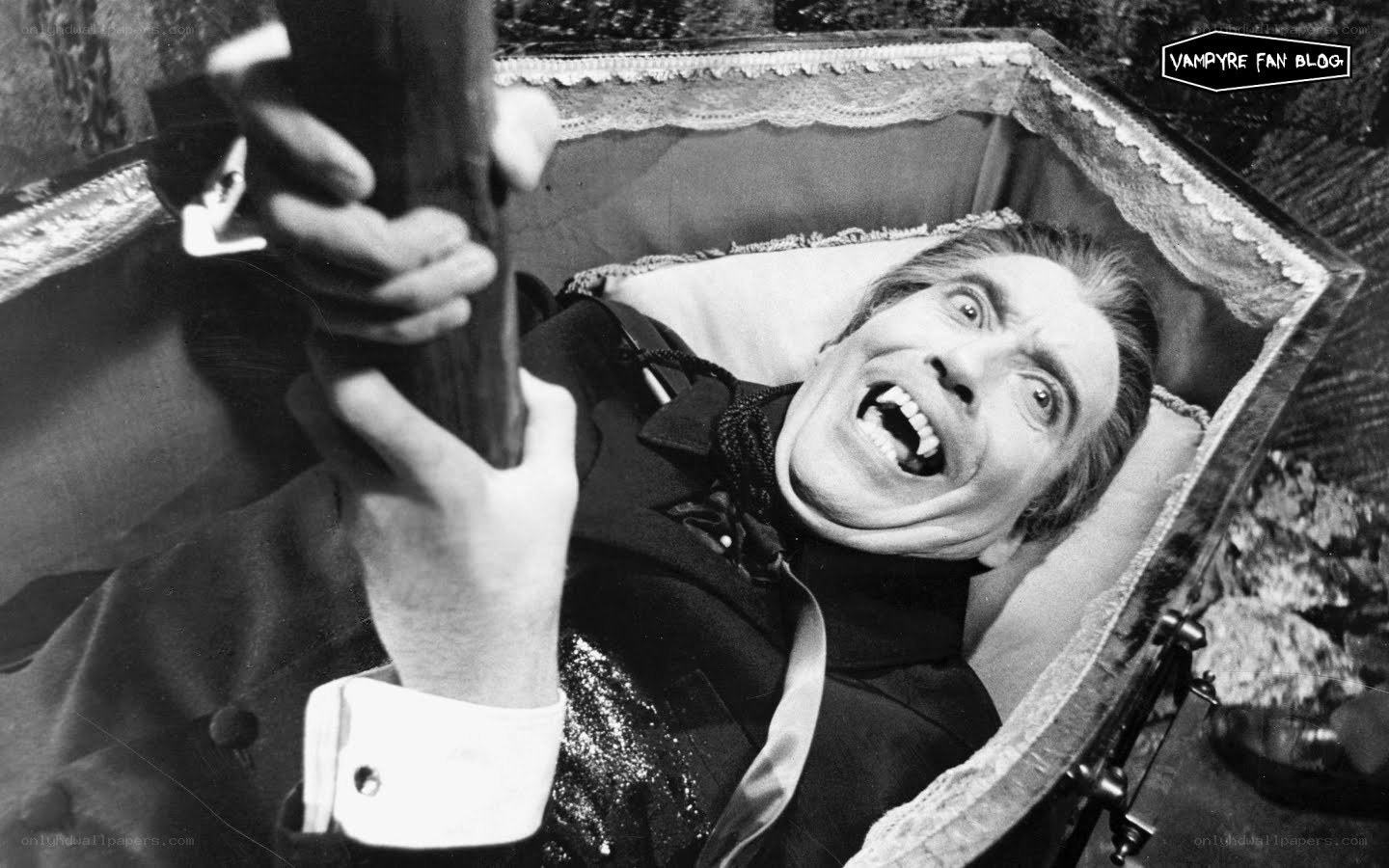 vampire in coffin scene