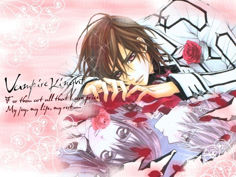 Vampire Knight anime art