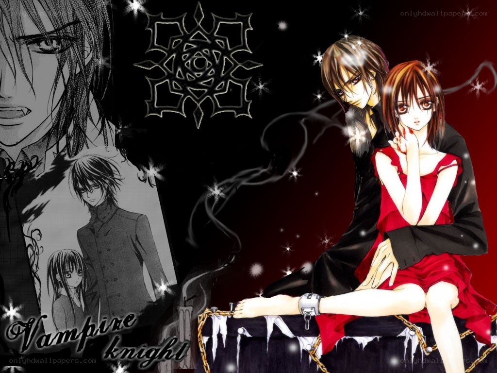 Vampire Knight anime art